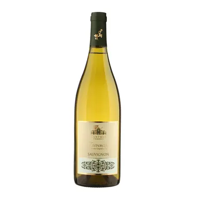 SAUVIGNON TREVENEZIE IGP