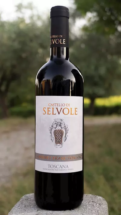 selvole Cabernet Franc