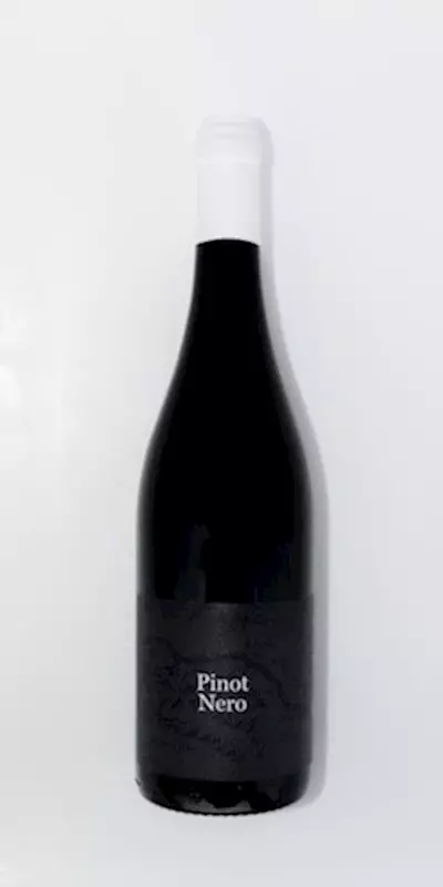 Pinot Nero