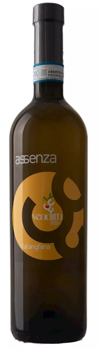 ASSENZA FALANGHINA