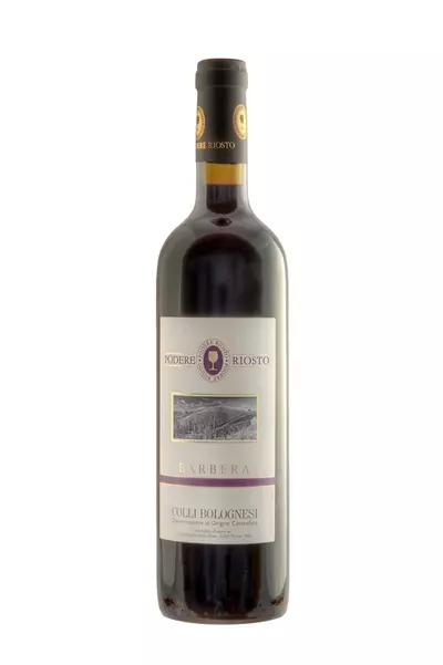 Barbera DOC Colli Bolognesi