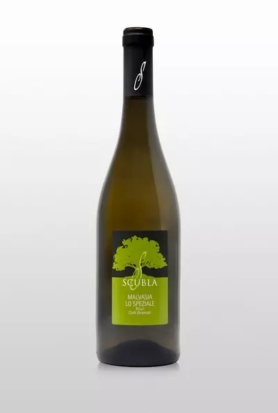 Malvasia '22