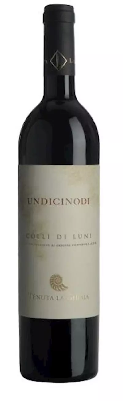 UNDICINODI