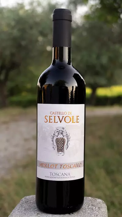 Selvole Merlot