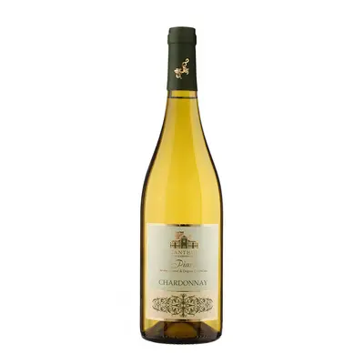 CHARDONNAY PIAVE D.O.C.