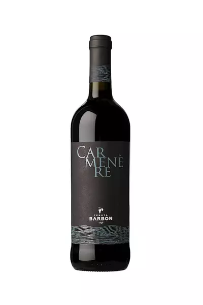 CARMENERE IGT MARCA TREVIGIANA