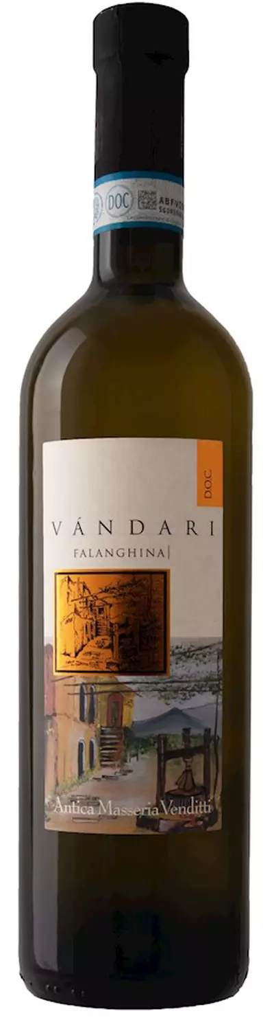 VANDARI FALANGHINA