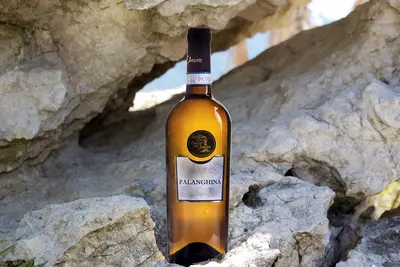 Falanghina del Sannio