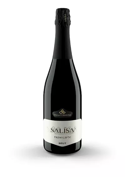 SALĺSA BRUT